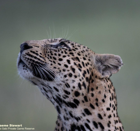 A14Graeme Stewart Nweti 220122 Final