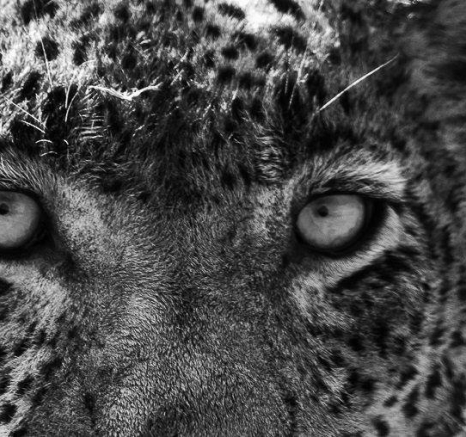 32Kevin Van Der Linde White Dam 01092019 5 Final