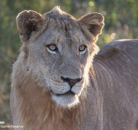 13Brett Heasman Nkuhuma And Styx 28052020 3 Final