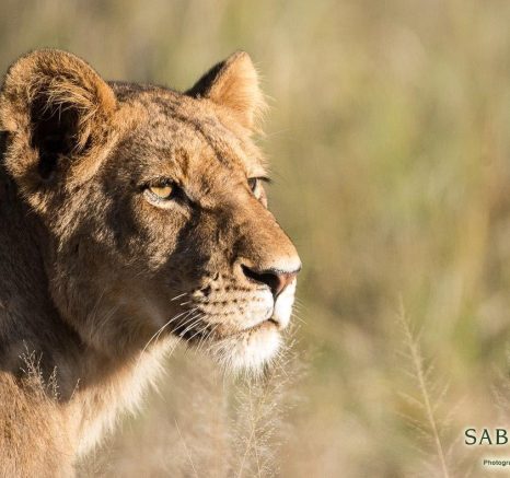 31Terry Ennever SP 22517 2 Final 31Terry Ennever SP 22517 2 Final