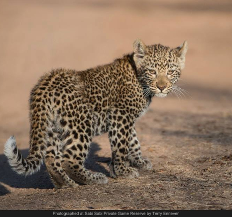 10550135 727185893995731 6168345172592944039 O