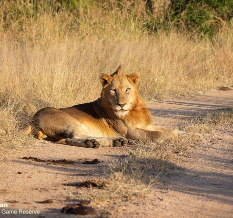 14Brett Heasman Nkuhuma And Styx 28052020 6 Final