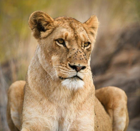 44Ally Ross 20200709 SP 02 Portrait Final