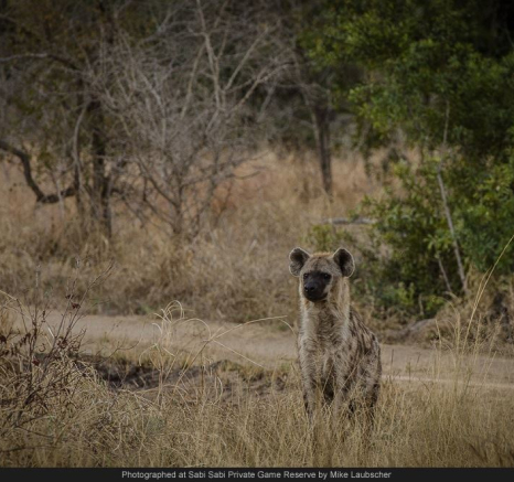 10355550 726648427382811 8035785384382345292 O