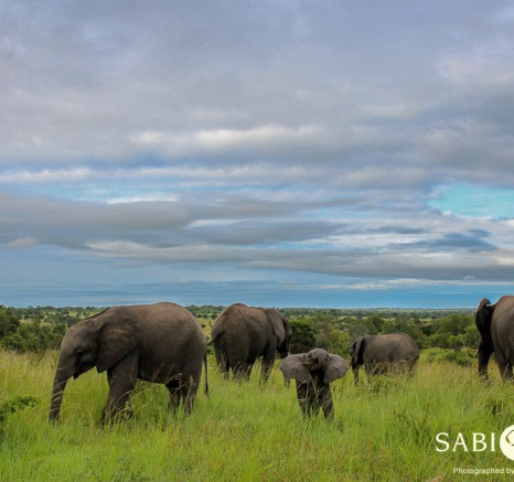 10945902 807104272670559 7434171984634869415 O