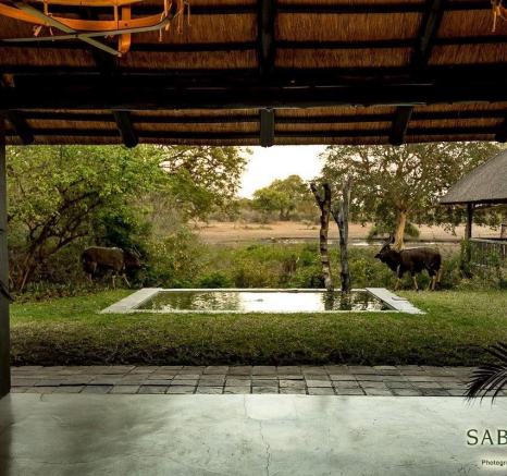 28Sheldon Hooper Nyala Bush Lodge Final 28Sheldon Hooper Nyala Bush Lodge Final
