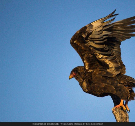 10317769 691480877566233 2076666239423615974 O