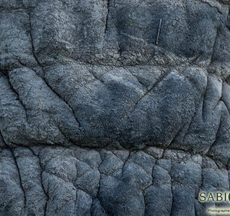 30Sheldon Hooper Ele Close 1 Final 30Sheldon Hooper Ele Close 1 Final