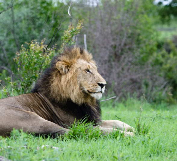 Majengilanes 2 Majengilanes 2