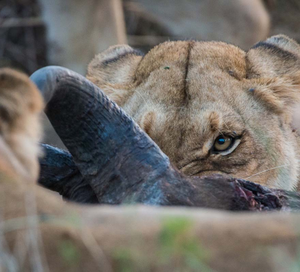 14Terry Ennever Highlights Sept Oct 17