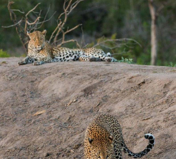 20Terry Ennever Wd And Max2 4 3 16 20Terry Ennever Wd And Max2 4 3 16