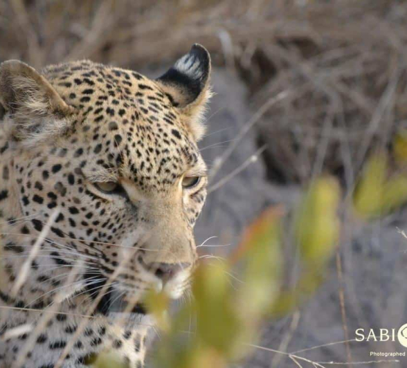 08Ronald Mutero Kigelia 28072019 2 Final 08Ronald Mutero Kigelia 28072019 2 Final