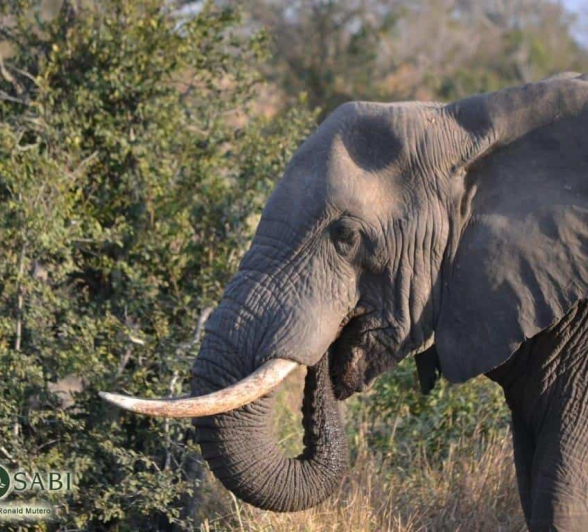 35Ronald Mutero Ele 28072019 6 Final 35Ronald Mutero Ele 28072019 6 Final