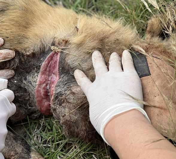 08Jason Street Cleaning The Wounds 110622 Final