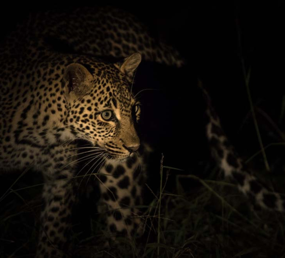 Mike L Kalenge 4 Mike L Kalenge 4