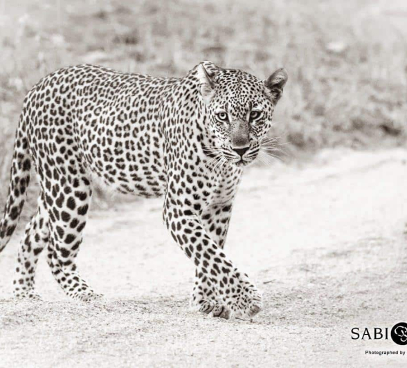 15Kevan Dobbie Msuthlu Female 031118 2 Final 15Kevan Dobbie Msuthlu Female 031118 2 Final