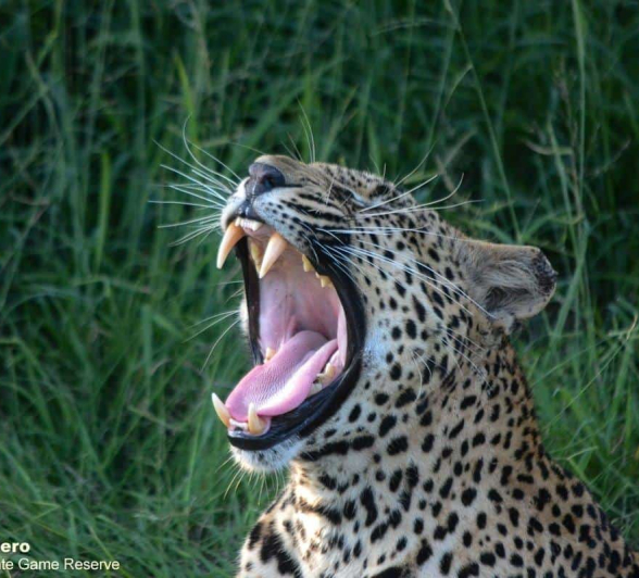 28Ronald Mutero Mweti 20022020  5 Final 28Ronald Mutero Mweti 20022020  5 Final