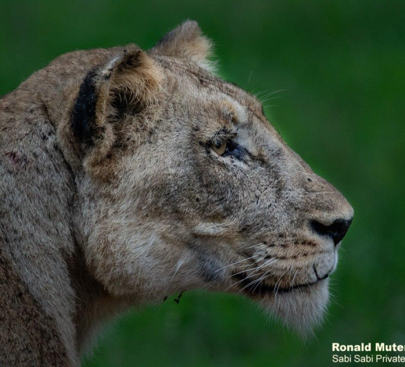 A05ronald Mutero Stix 08122021 3 Final A05ronald Mutero Stix 08122021 3 Final