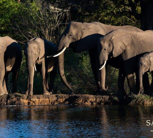 27Kerry Lee Roberg Loxo.2 Final 27Kerry Lee Roberg Loxo.2 Final