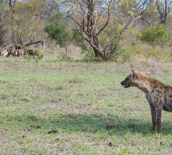 02Terry Ennever Highlights Sept Oct 10