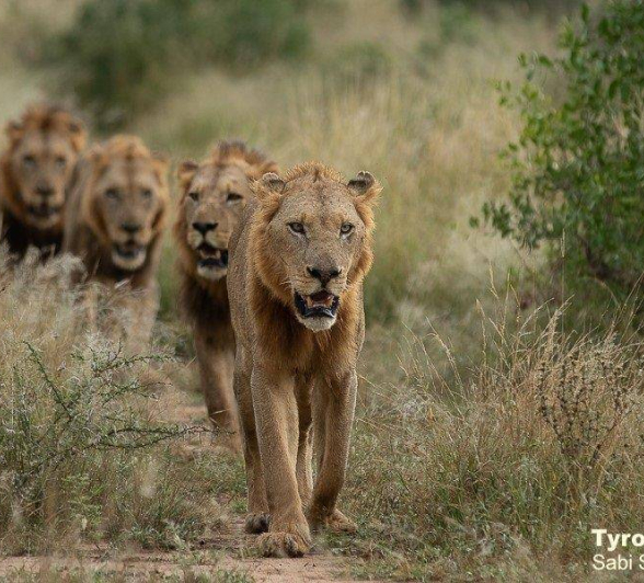 35Tyron Van Der Walt NWashishaka Males 160420 4 Final