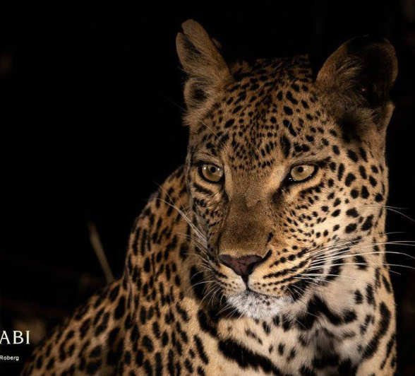 38Kerry Lee Roberg Ntsumi270519.1 Final 38Kerry Lee Roberg Ntsumi270519.1 Final