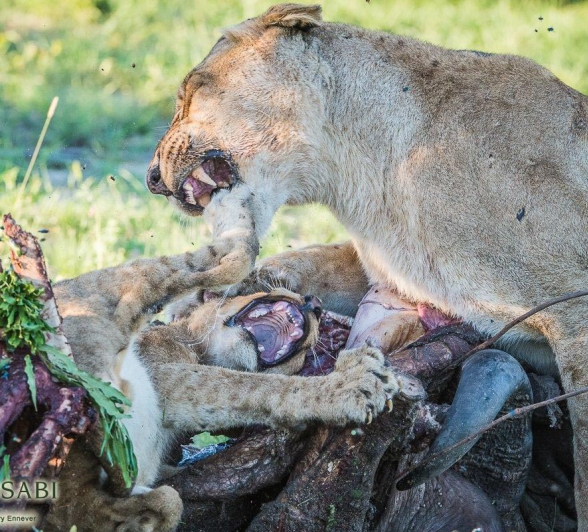 09Terry Ennever Hunger Games9 Final