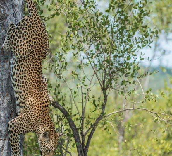 42Terry Ennever Msuthu 27218 Final