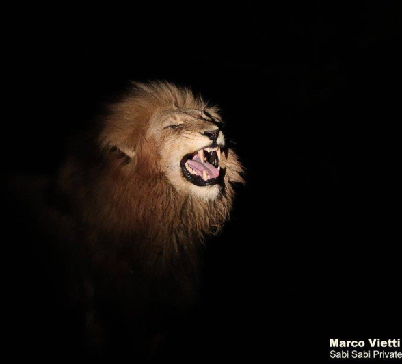 26Marco Vietti Othawa 050121  Final