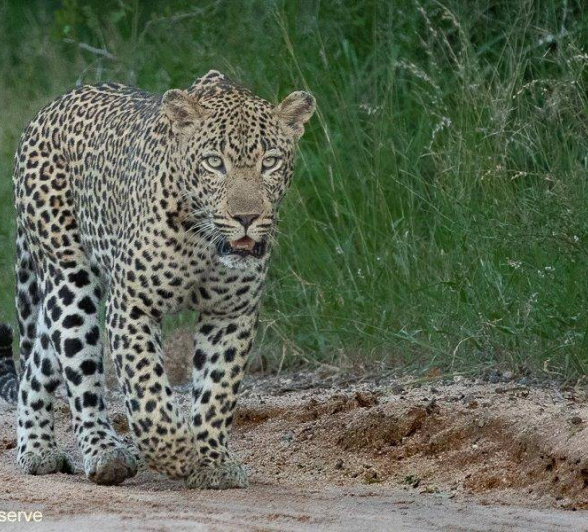 15Tyron Van Der Walt Hanyile 260121 1 Final 15Tyron Van Der Walt Hanyile 260121 1 Final
