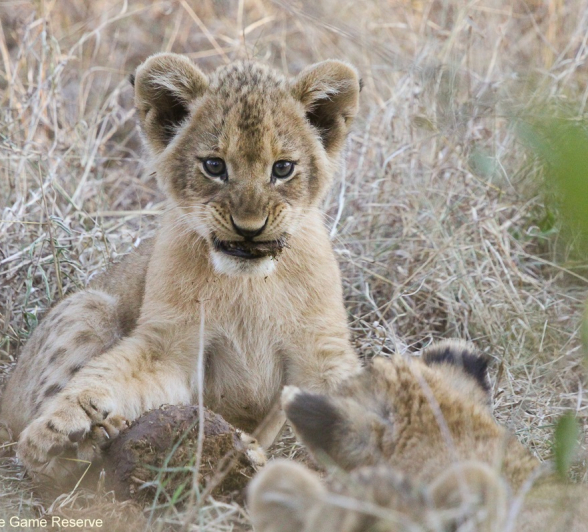 B01Erin Herbst Styx Pride 1 230521 Final