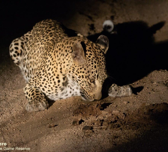 A27ronald Mutero Keegelia 05062022 3 Final