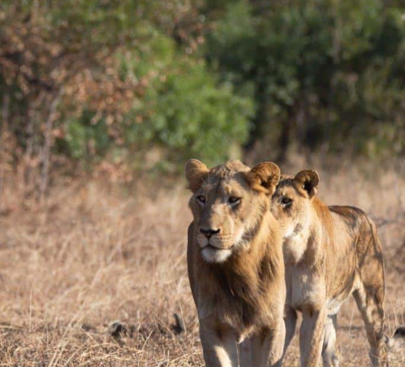 10Louise Murray SP 14062019 1 Final