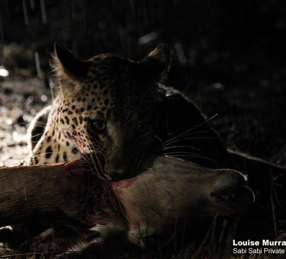 02Louise Murray Ntsumi 27052020 1 Final 02Louise Murray Ntsumi 27052020 1 Final