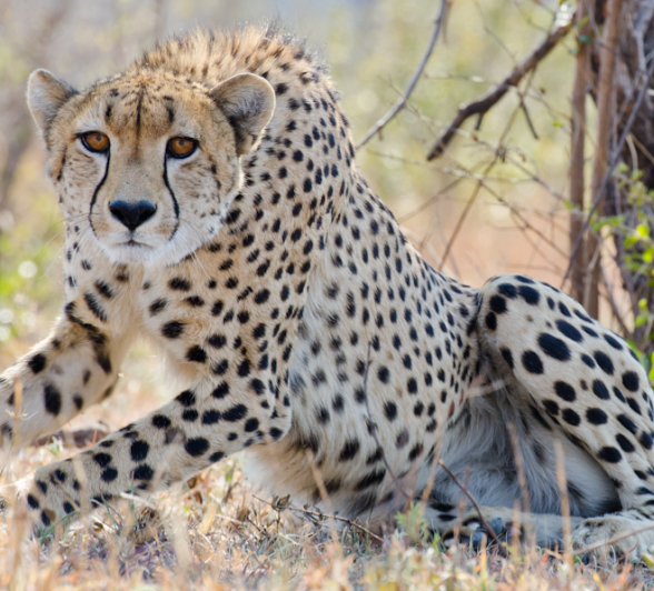 Week In Pictures 6 Week In Pictures 6