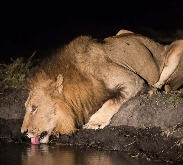 10Terry Ennever 4ways Drink 10Terry Ennever 4ways Drink