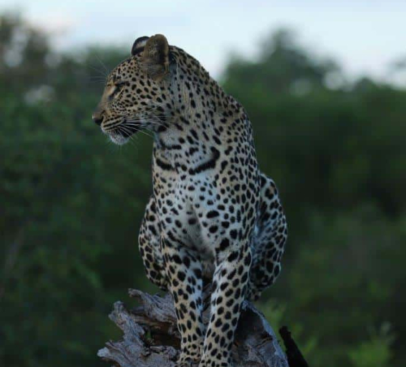 03Steff McWilliam Blog02 Final