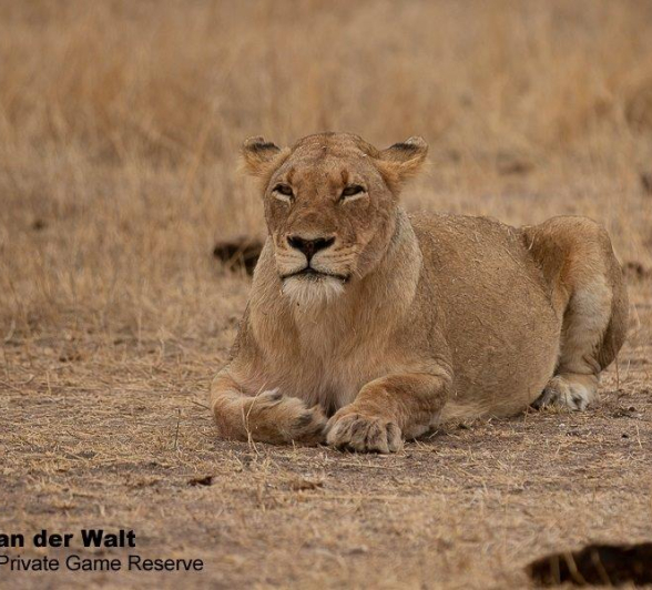 09Tyron Van Der Walt Mangeni Pride 24092019 5 Final 09Tyron Van Der Walt Mangeni Pride 24092019 5 Final