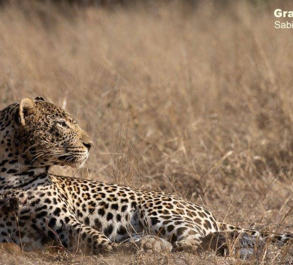 24Graeme Stewart Hanyile 100720 2 Final