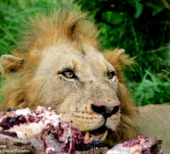 06ronald Mutero Nwash 27022021 FINAL 6