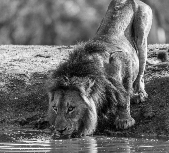 08Mike Palmer Mazino Floppy 050316 4