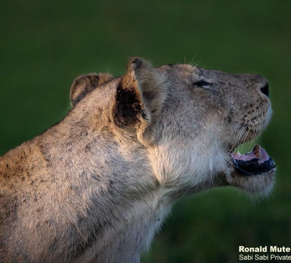 A12Ronald Mutero Stix And Nwash 12122021  5 Final A12Ronald Mutero Stix And Nwash 12122021  5 Final