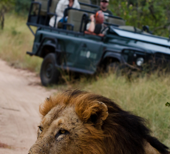 KNP 3 KNP 3