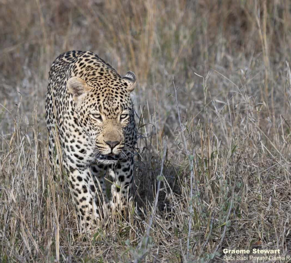 47Graeme Stewart Hanyile 070920 2 Final 47Graeme Stewart Hanyile 070920 2 Final