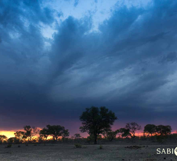 03Landscapes 11 Final