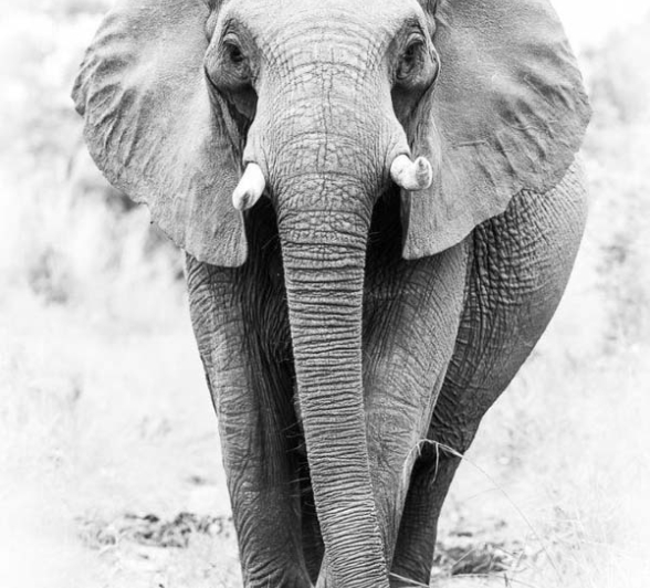 Terry Ennever HighlightsDecJan5