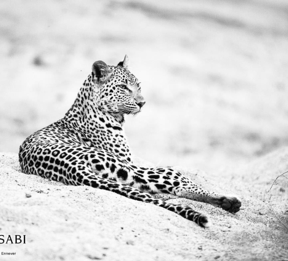 11Terry Ennever LBC 22517 2 Final 11Terry Ennever LBC 22517 2 Final