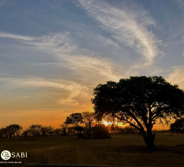 Louise Murray Sunset Final