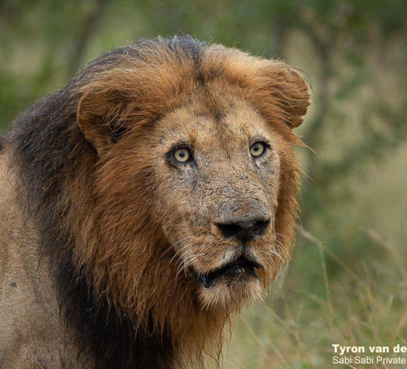 18Tyron Van Der Walt Birmingham Males 160420 2 Final