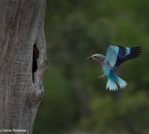 15Ally Ross 20201201 LBR 01  Edit Final